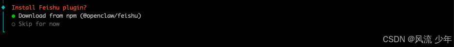 OpenClaw安装-11.png
